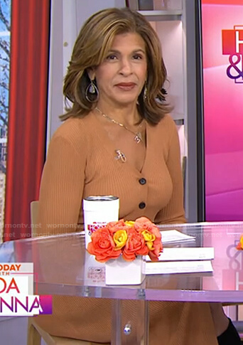 hoda’s brown button down ribbed dress on Today