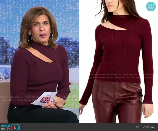 Charlie Cut-Out Sweater by Lucy Paris worn by Hoda Kotb on Today