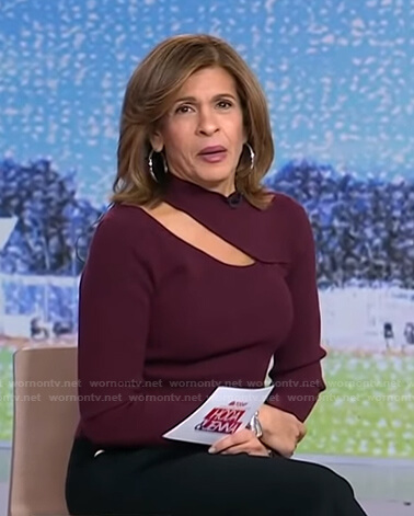Hoda's burgundy ribbed cutout sweater on Today