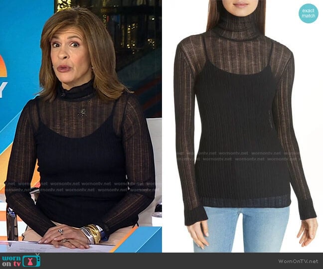 Lory Sheer Turtleneck by Theory worn by Hoda Kotb on Today