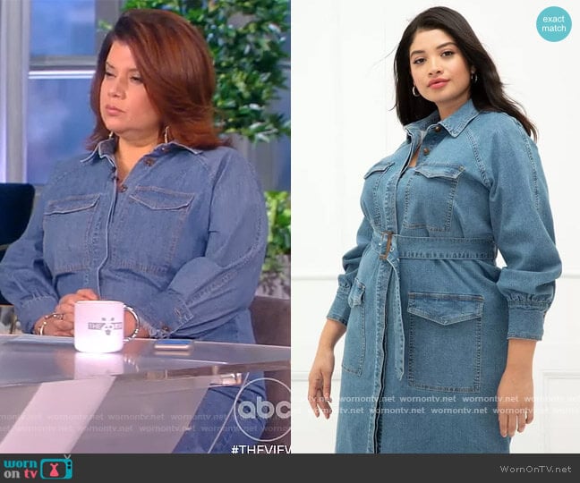 Denim Utility Dress by Eloquii worn by Ana Navarro on The View