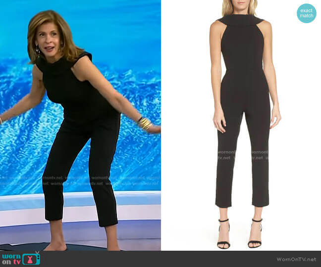 Knit Crepe Roll Neck Jumpsuit by Adrianna Papell worn by Hoda Kotb on Today