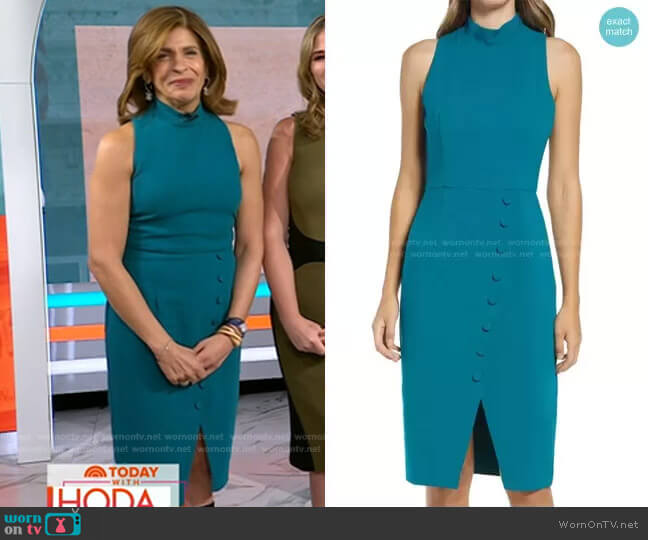 Sofie Sheath Dress by Black Halo worn by Hoda Kotb on Today