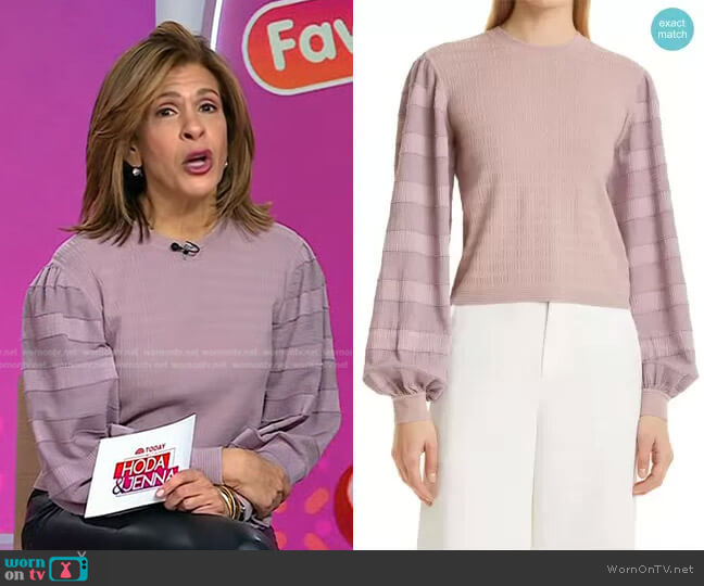 Woven Sleeve Sweater by Club Monaco worn by Hoda Kotb on Today