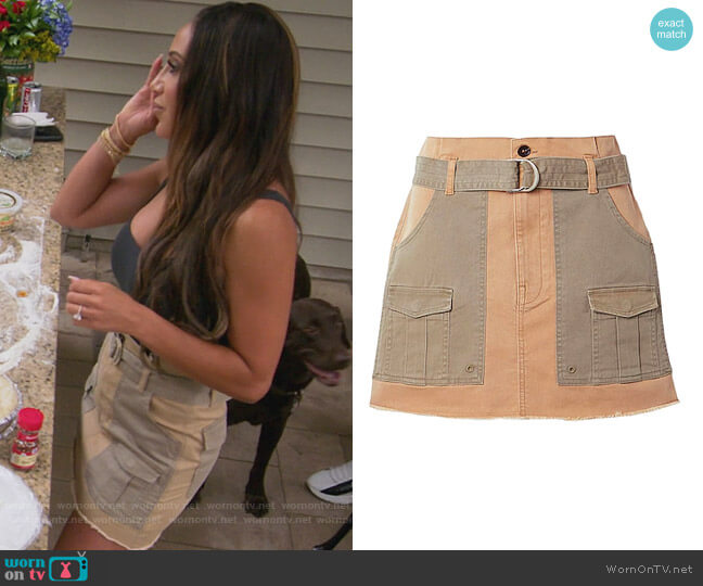 Mini Skirt by Frame worn by Melissa Gorga on The Real Housewives of New Jersey