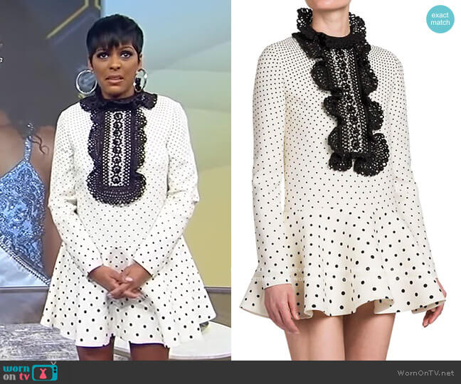 Embroidered Neck Mini-Dress by Valentino worn by Tamron Hall  on Tamron Hall Show