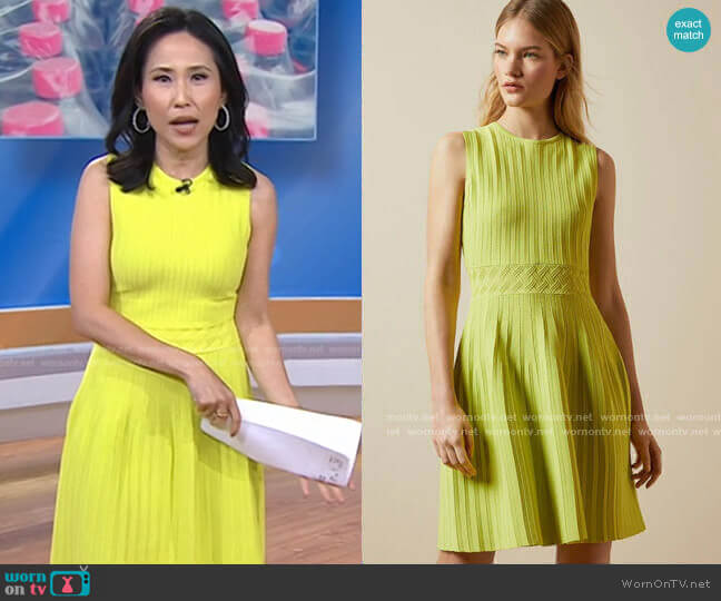 Balieey Pleated Mini Dress by Ted Baker worn by Vicky Nguyen on Today