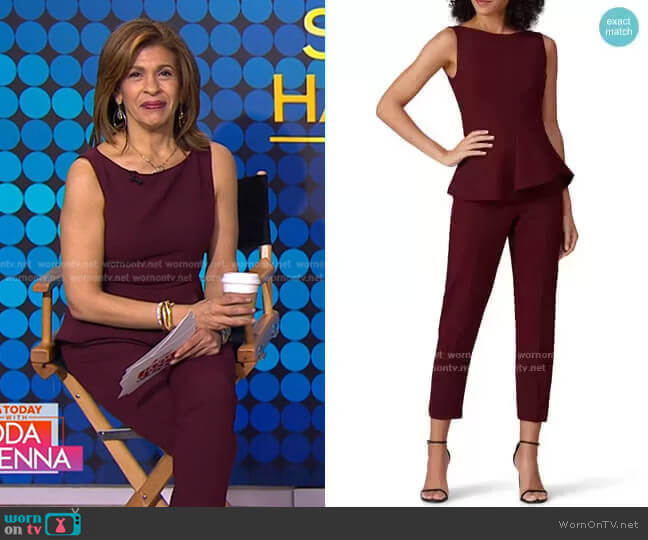 Kasia Jumpsuit by Black Halo worn by Hoda Kotb on Today