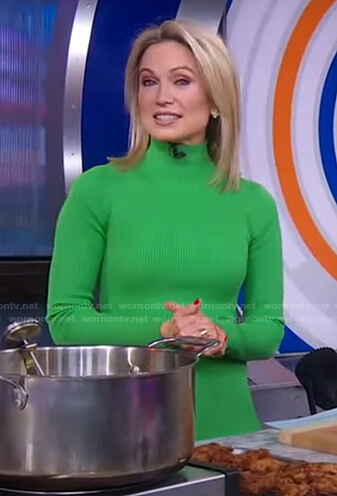 Amy's green ribbed turtleneck dress on Good Morning America