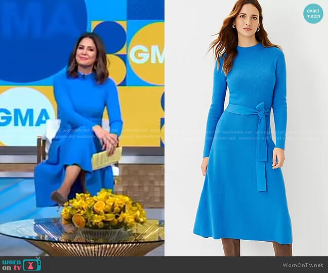 Belted Flare Sweater Dress by Ann Taylor worn by Cecilia Vega on Good Morning America