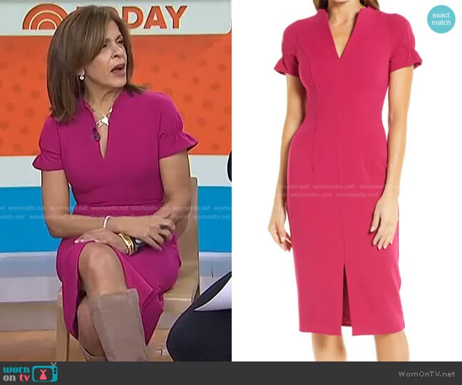 WornOnTV: Hoda’s pink ruffle sleeve v-neck dress on Today | Hoda Kotb ...