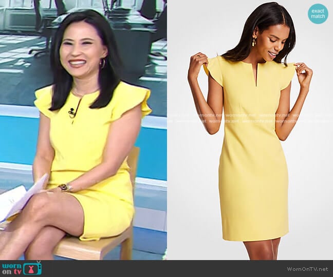 Flutter Sheath Dress by Ann Taylor worn by Vicky Nguyen on Today