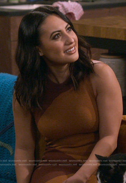 Valentina's brown colorblock dress on How I Met Your Father