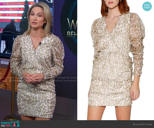 Deena Print Dress by Walter Baker worn by Amy Robach on Good Morning America