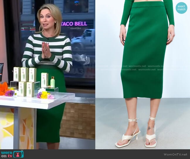 Knit Midi Pencil Skirt by Zara worn by Amy Robach on Good Morning America