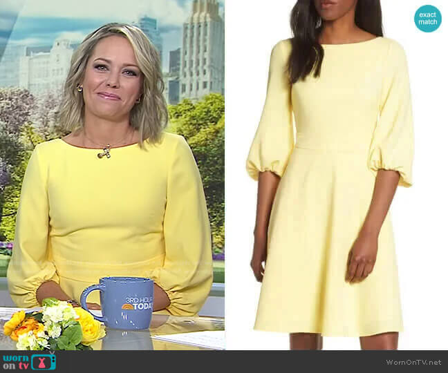 Balloon Sleeve Fit & Flare Dress by Eliza J worn by Dylan Dreyer  on Today