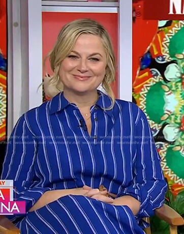 Amy Poehler's blue striped shirtdress on Today