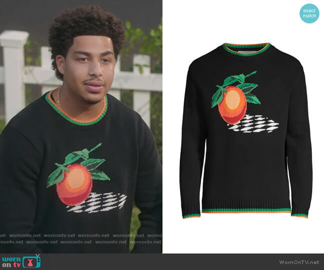 Fruit Intarsia Trimmed Cotton Sweater by Casablanca worn by Andre Johnson Jr (Marcus Scribner) on Blackish