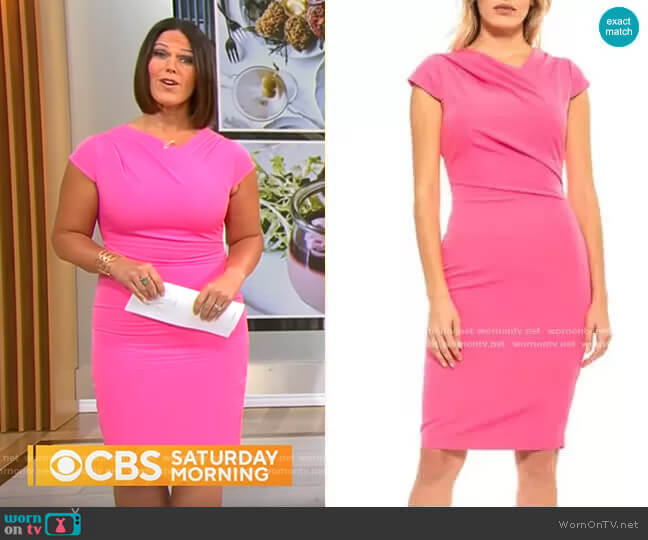 Alexia Admor Ester Pleated Neck Sheath Dress worn by Dana Jacobson on CBS Mornings