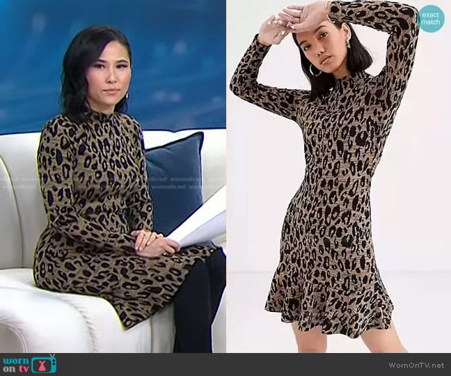 WornOnTV: Vicky’s brown leopard mini dress on Today | Vicky Nguyen ...