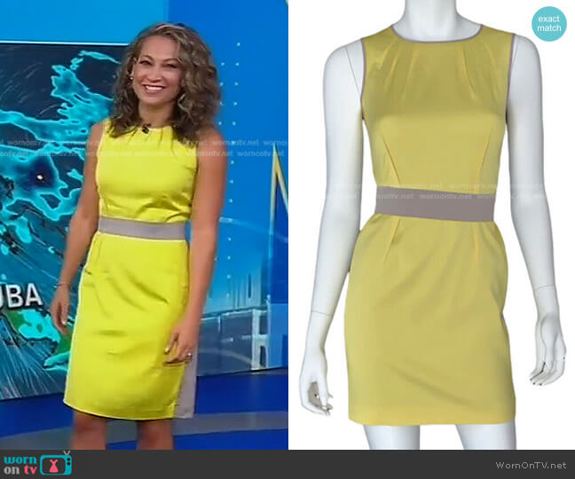 Color Block Mini Dress by Ann Taylor worn by Ginger Zee on Good Morning America