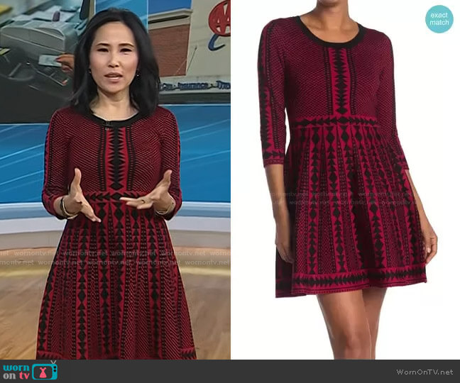 Geometric Print Sweater Dress by Nina Leonard worn by Vicky Nguyen on Today