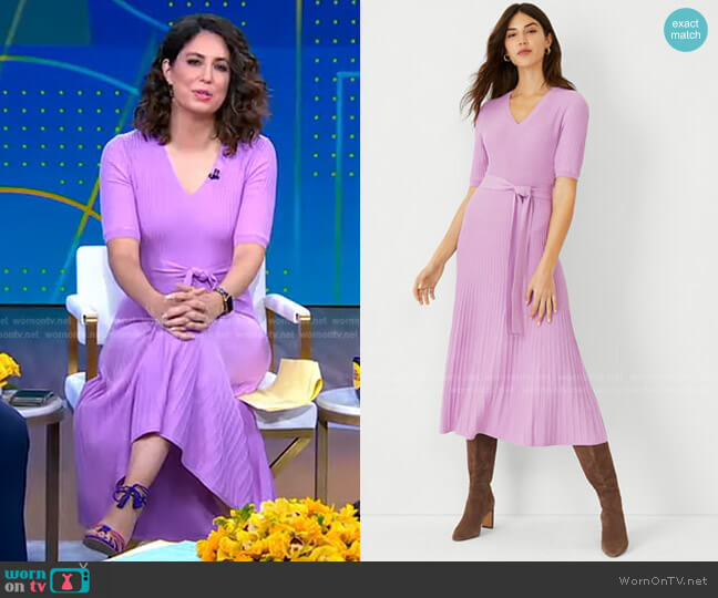 Belted V-Neck Sweater Dress by Ann Taylor worn by Cecilia Vega  on Good Morning America