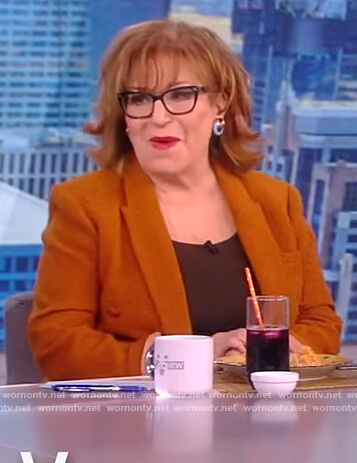 Joy’s brown tweed double breasted blazer on The View