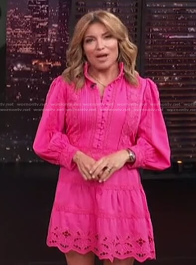 Kit’s pink embroidered mini dress on Access Hollywood