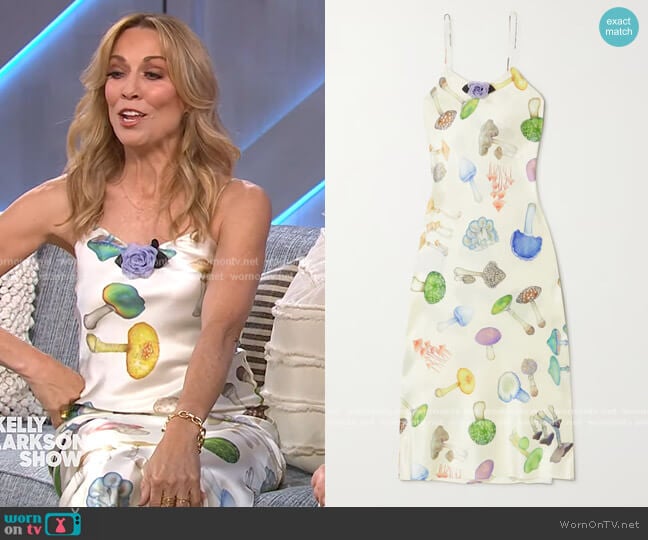 Embellished printed silk midi dress by Rodarte worn by Sheryl Crow on The Kelly Clarkson Show