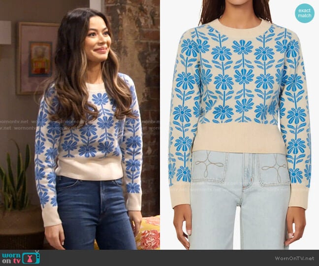 Sandro Hugues Sweater worn by Carly Shay (Miranda Cosgrove) on iCarly