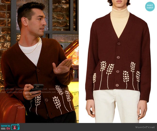 Sandro Wheat Embroidered Wool Blend Cardigan worn by Darcy Leeds (Matt Rogers) on I Love That For You