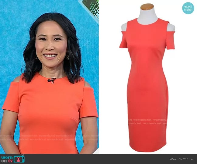 Scuba Cold Shoulder Sheath Dress by Calvin Klein worn by Vicky Nguyen on Today