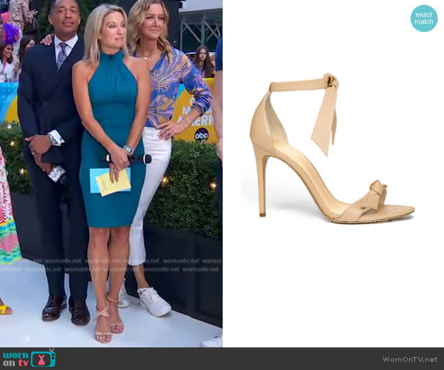 Clarita Ankle Tie Sandal by Alexandre Birman worn by Amy Robach on Good Morning America