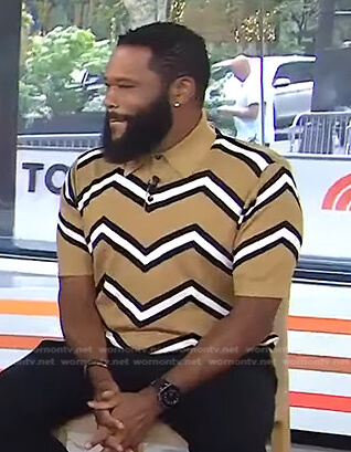 Anthony Anderson’s beige zigzag polo shirt on Today