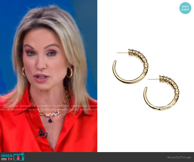 Protect JW Tusk Hoop Earrings by Jane Win worn by Amy Robach on Good Morning America