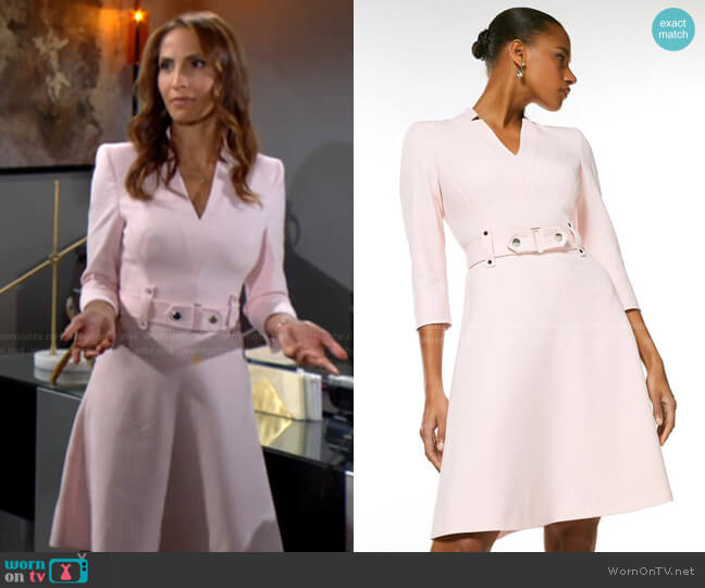 WornOnTV: Lily's light pink belted a-line dress on The Young and the Restless | Christel Khalil | Clothes and Wardrobe from