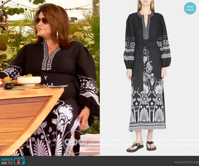 Alexia Embroidered Blouson-Sleeve Dress by Kobi Halperin worn by Ana Navarro on The View