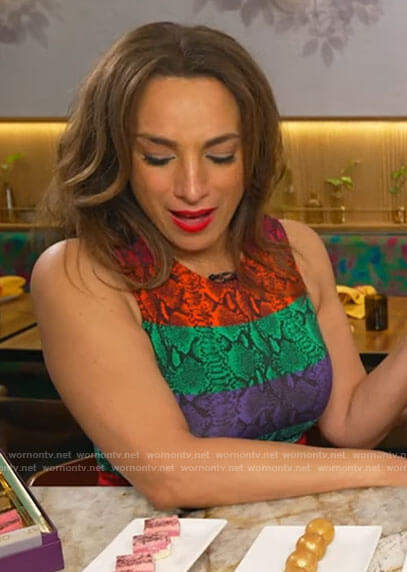 Michelle Miller’s rainbow snake print dress on CBS Saturday Mornings