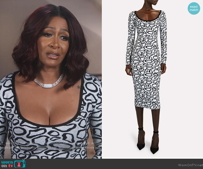 Giraffe Scoop Neck Sweater Dress by Sergio Hudson worn by Sheree Whitefield  on The Real Housewives of Atlanta