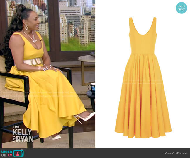 Sleeveless Fit & Flare Dress by Alexander McQueen worn by Vivica A. Fox on Live with Kelly and Ryan