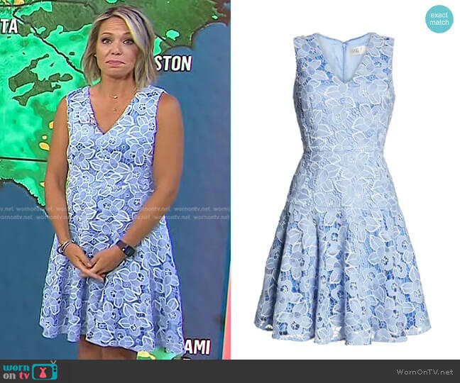 Sleeveless Lace Fit & Flare Dress by Eliza J worn by Dylan Dreyer on Today