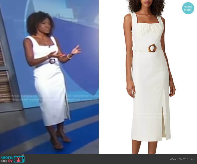 Gathered Sheath by Nicholas worn by Janai Norman on Good Morning America