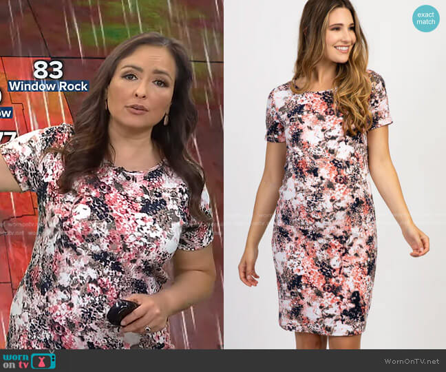 Pink Blush Floral Abstract Fitted Dress worn by Iris Hermosillo on Good Morning America