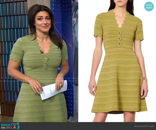Sandro Fabienne Knit Fit-&-Flare Dress worn by Erielle Reshef on Good Morning America
