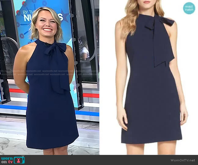 Halter Tie Neck A-Line Dress by Vince Camuto worn by Dylan Dreyer on Today