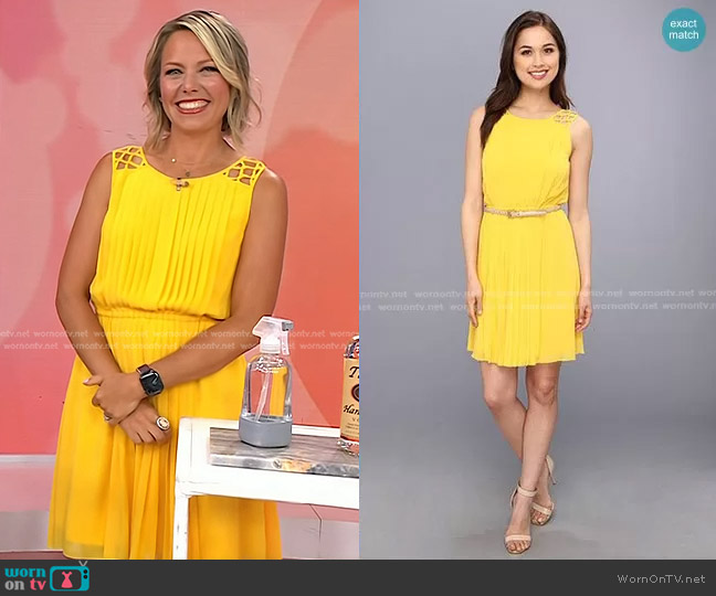 Jessica Simpson Sleeveless Pleated Dress worn by Dylan Dreyer on Today