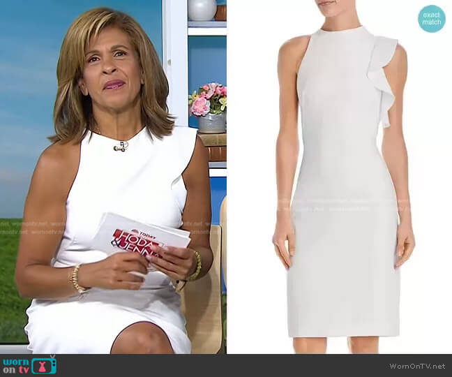 Pabla Sheath Dress by Black Halo worn by Hoda Kotb on Today