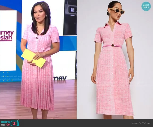 Scanlan Theodore Pleated Rib Placket Dress worn by Eva Pilgrim on Good Morning America