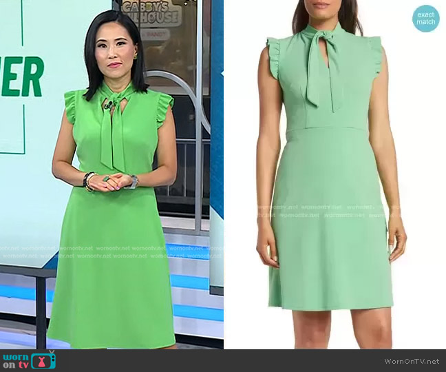 Tie Neck Flutter Cap Sleeve A-Line Dress by Maggy London worn by Vicky Nguyen on Today